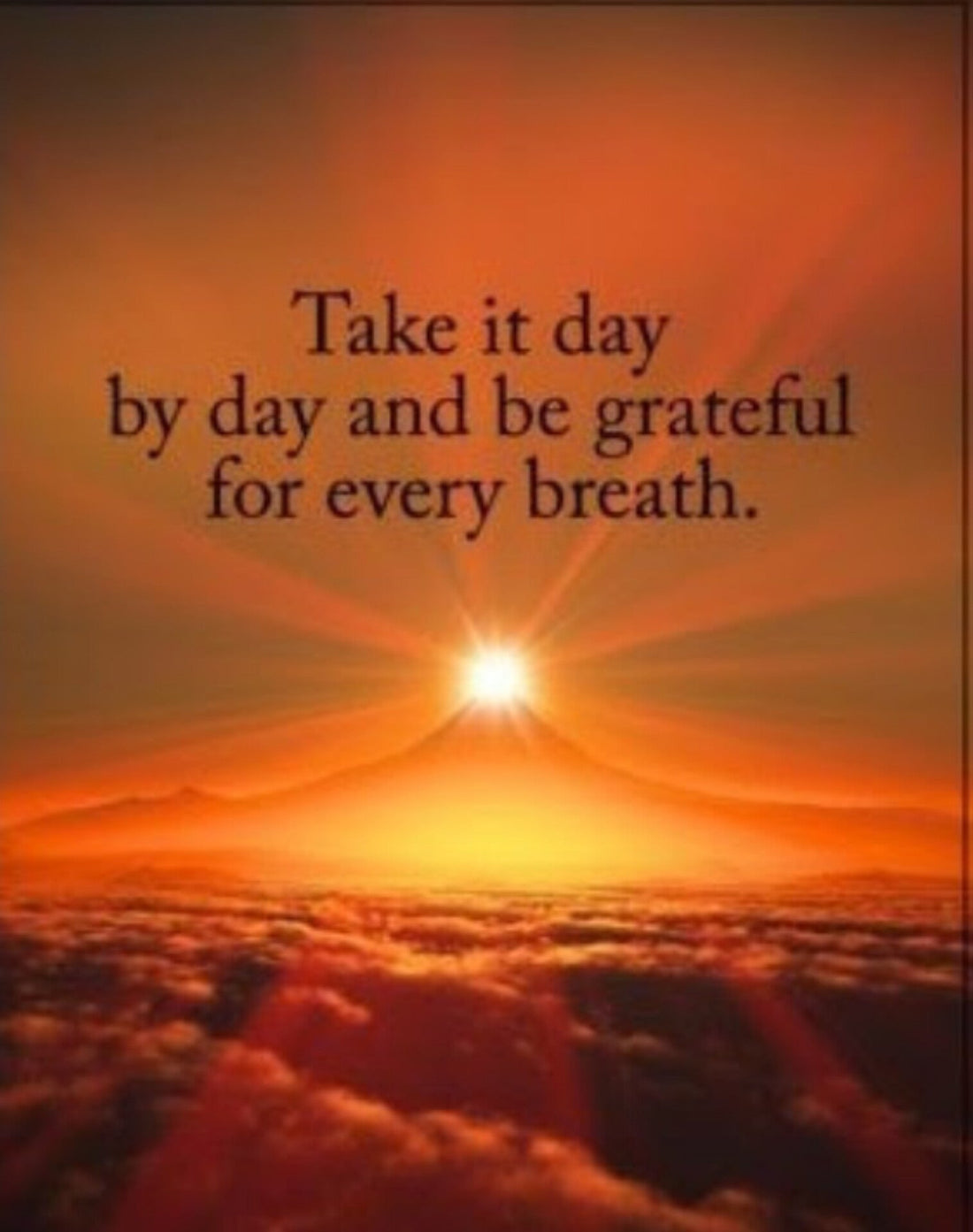 Reflecting on the Past Year: Celebrating the Positives